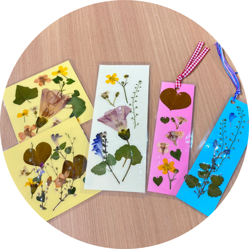 夏休みイベントのお知らせ|土佐清水ジオパーク公式サイト